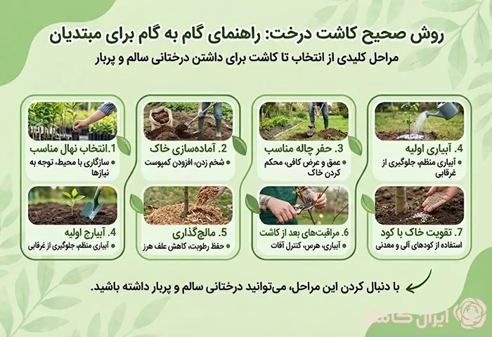 آموزش کاشت نهال برای مبتدیان